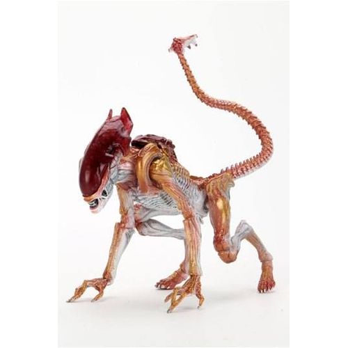 Aliens Figurine Panther Alien (Kenner Tribute) 23 Cm