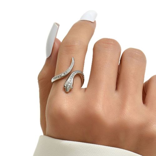 Bague En Forme De Serpent En Argent Argent