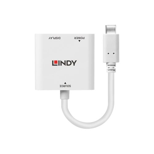 Lindy USB 3.1 Type C to DisplayPort Converter with Power Delivery - Câble DisplayPort - USB-C (M) pour DisplayPort, USB-C (F) - USB 3.1 / Thunderbolt 3 / DisplayPort 1.2 - 1.5 m - support 4K, USB...