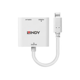 Lindy USB 3.1 Type C to DisplayPort Converter with Power Delivery - Câble DisplayPort - 24 pin USB-C (M) pour DisplayPort, 24 pin USB-C (F) - USB 3.1 / Thunderbolt 3 / DisplayPort 1.2 - 1.5 m -...