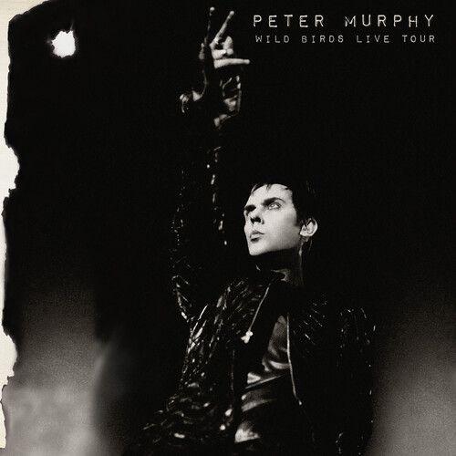 Peter Murphy - Wild Birds Live Tour [Cd]
