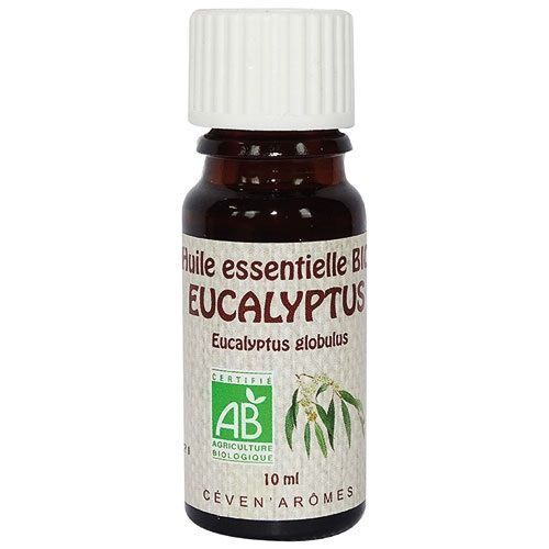 Huile Essentielle Eucalyptus Globulus Bio 10ml 