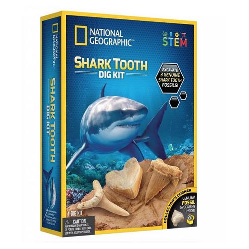 Kit De Fouille Dent De Requin