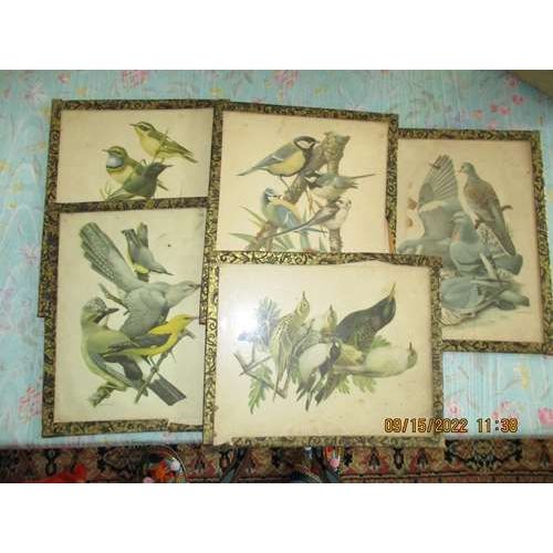 lot de 5 tableaux verre oiseau taille petite