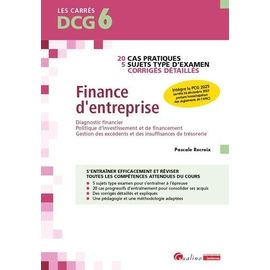 Finance D'entreprise Dcg 6 - Diagnostic Financier, Politique D'investissement Et De Financement, Gestion Des Excédents Et Des Insuffisances De Trésorerie