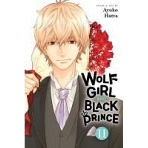Wolf Girl And Black Prince, Vol. 11