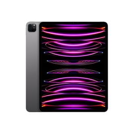 Tablette Apple iPad Pro M2 (2022) 12.9&quot; Wi-Fi 512 Go Gris sid&eacute;ral