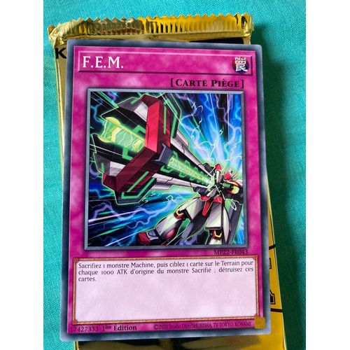 F.E.M. Mp22-Fr043