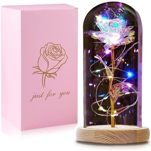 La Belle et la Bête Rose Éternelle Sous Cloche En Verre Avec Lumière LED Rose Fleur Cadeau Fête Des Mères Mariage Anniversaire Saint Valentin Noël Pour Maman Femme Amie Elle