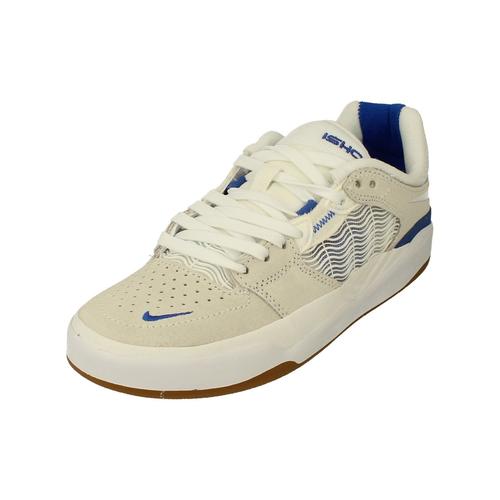 Nike Sb Ishod Trainers Dc7232 100