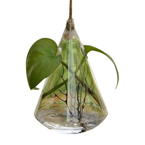 Violet - Petit Vase en verre Transparent Simple, décoration nordique, Vases de fleurs pour la maison, bouteille'aromathérapie