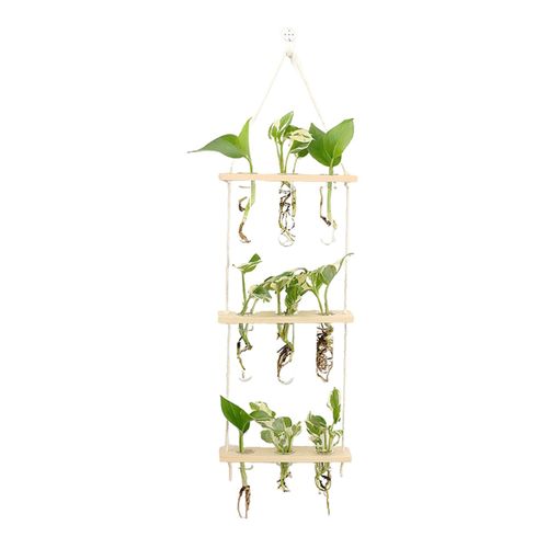 Beige - Support De Jardinière En Tube À Essai, Vase À Fleurs Avec Support En Bois, Suspension Murale Moderne, Terrarium Hydroponique, Décoration De Maison À 3 Niveaux