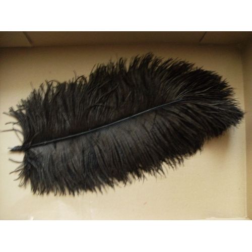 Lot Une Grande Plume + Assemblage - Noir Envoi Colissimo Sous Plats Cartonnés