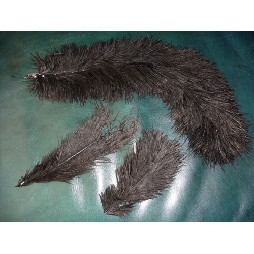 Lot 3 Plumes Noires - Une Grande Et Deux Petites