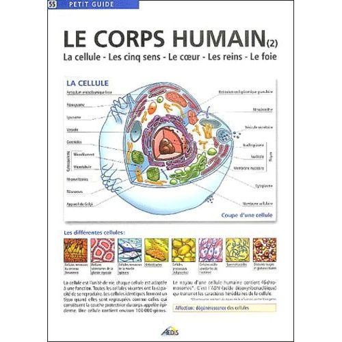 Le Corps Humain - Tome 2, La Cellule, Les Cinq Sens, Le Coeur, Les Reins, Le Foie