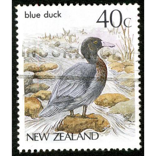 Timbre New Zealand, Blue Duck, 40c