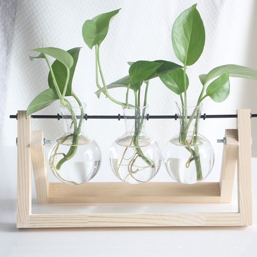 Gris Clair - Vase en verre pour plantes hydroponiques, Pot de fleurs Vintage avec plateau de Base en bois, décoration de bonsaï pour la maison
