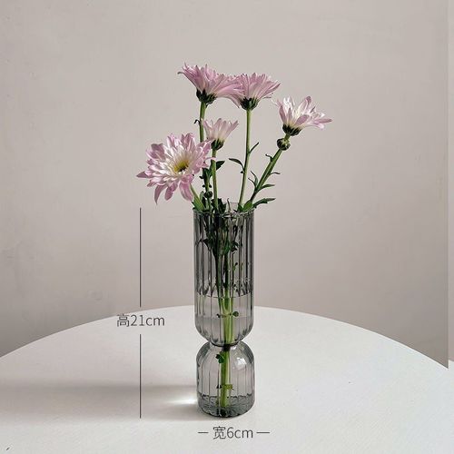 A-gris - Vase en verre Transparent pour décoration de maison, Pots de plantes pour salon, récipient décoratif hydroponique pour plantes, Vase de couleur pour bureau