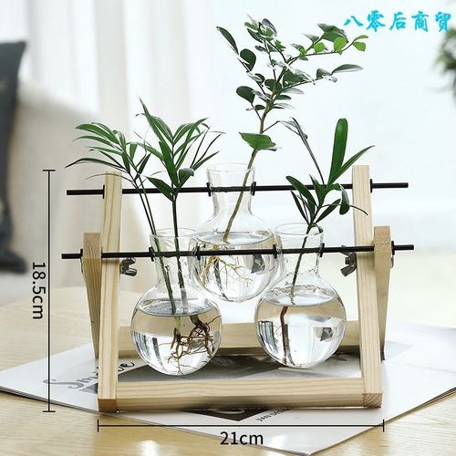 Beige - Vases à plantes hydroponiques en bois, Pot de fleur Vintage, Vase Transparent, cadre en bois, plantes de table en verre, décor de bonsaï pour la maison