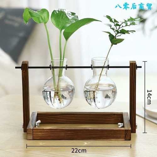 Ivoire - Vases à plantes hydroponiques en bois, Pot de fleur Vintage, Vase Transparent, cadre en bois, plantes de table en verre, décor de bonsaï pour la maison