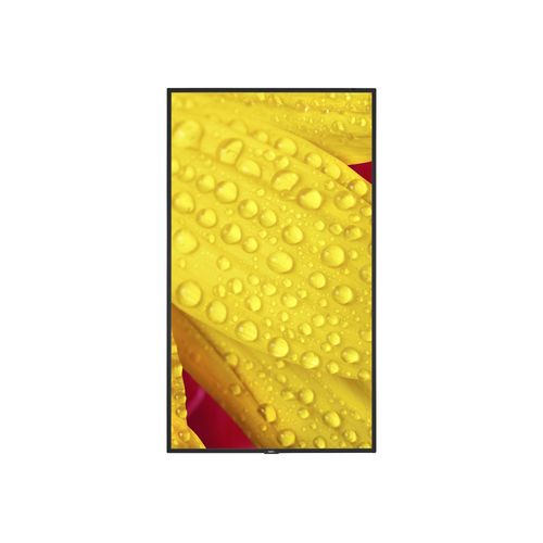 NEC MultiSync ME431 - Classe de diagonale 43" ME Series écran LCD rétro-éclairé par LED - signalisation numérique - 4K UHD (2160p) 3840 x 2160 - Direct LED - noir, pantone 426M