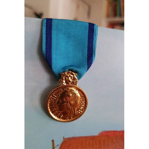 Médaille D'honneur Jeunesse Et Sport 