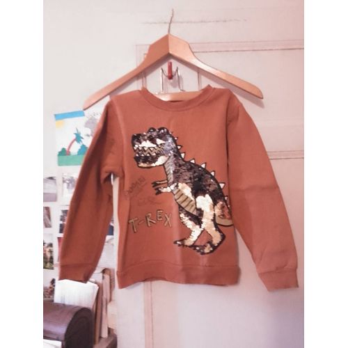 Sweat Marron Strass Argentées 6 Ans H&m.