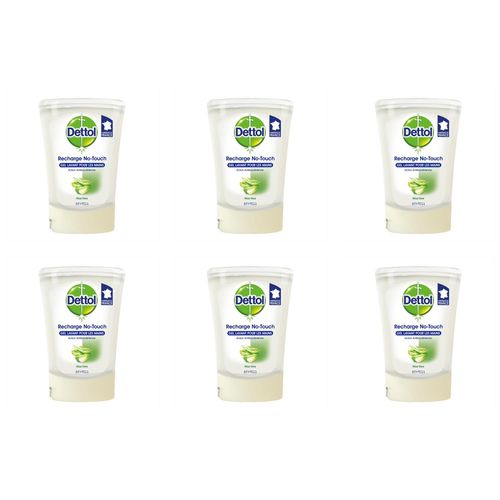Dettol Lot De 6 Flacons De 250 Ml Recharge Savon No Touch Aloe Vera 