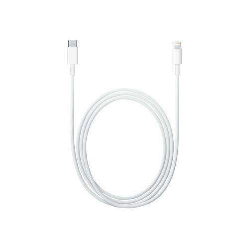 Apple USB-C to Lightning Cable - Câble Lightning - Lightning mâle pour 24 pin USB-C mâle - 2 m