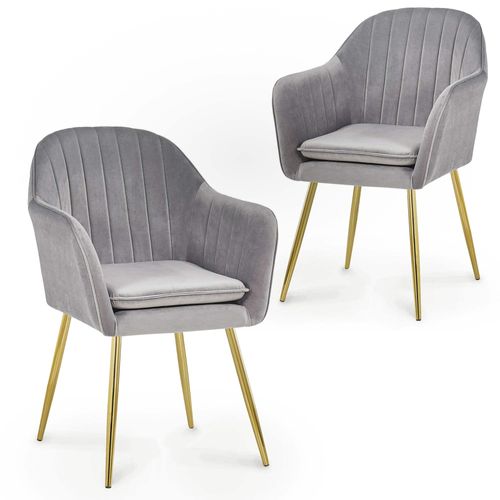 Lot De 2 Chaises Avec Accoudoirs En Velours Gris Edwige