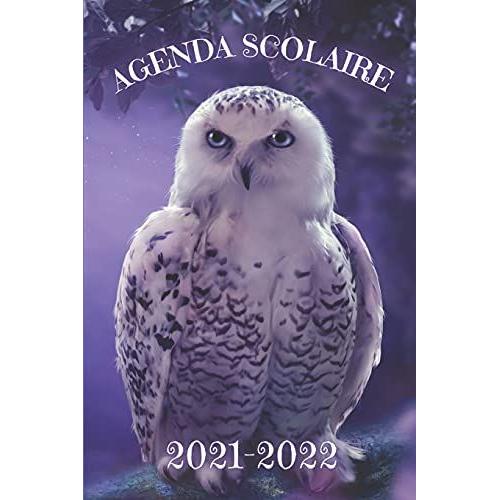 Agenda Scolaire 2021-2022: Chouette Thème Magie Sorcellerie Divination Féérie Primaire Collège Lycée Étudiant Garçon Et Fille |Août 2021 À Août ... Une Année Pleine De Réussite (French Edition)