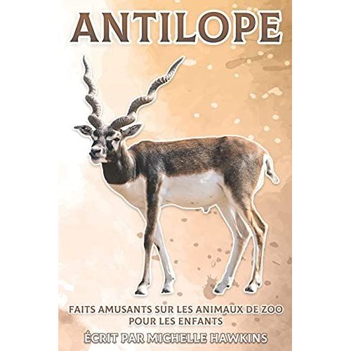 Antilope: Faits Amusants Sur Les Animaux De Zoo Pour Les Enfants #23 (French Edition)