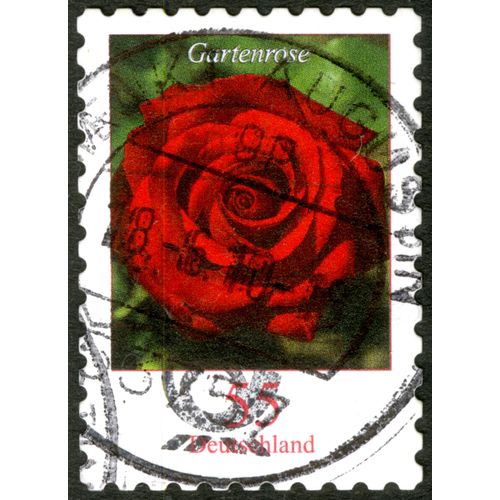 Timbre Oblitéré Deutschland, Gartenrose, 55