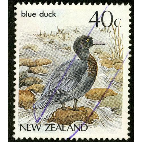 Timbre New Zealand, Blue Duck, 40c