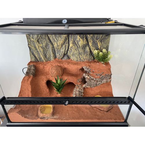 Terrarium Aménagé Complet Et Neuf ?