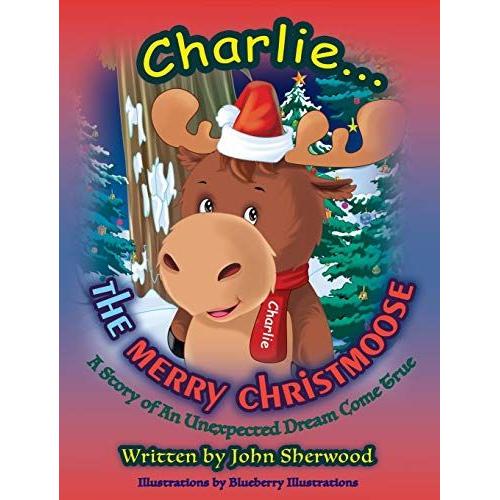 Childrens Christmas Book