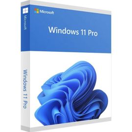 Windows 11 Pro - Clé D'activation Livraison Par Email - Licence À Vie