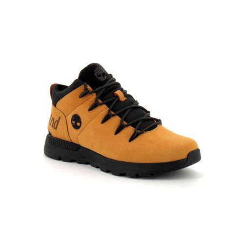 Timberland Sprint Trekker Mid Marron