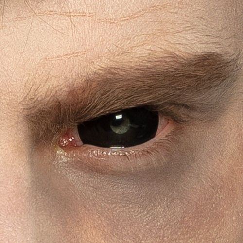 Lentilles Semestrielles Mort-Vivant - 53