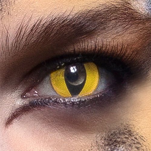 Lentilles Hebdomadaires 14mm Chat Félin Sauvage - 15