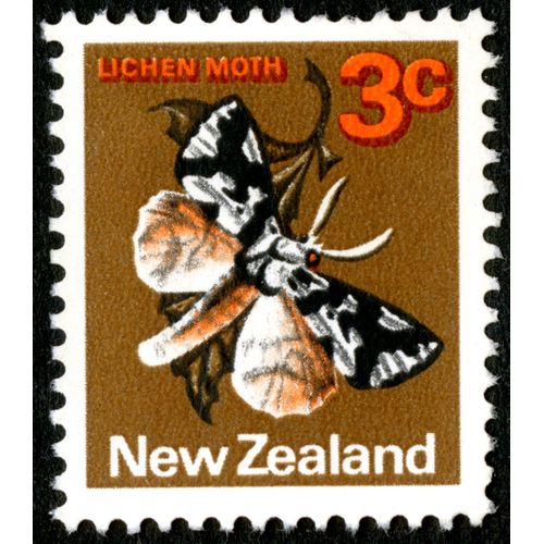 Timbre Oblitéré New Zealand, Lichen Moth, 3 C