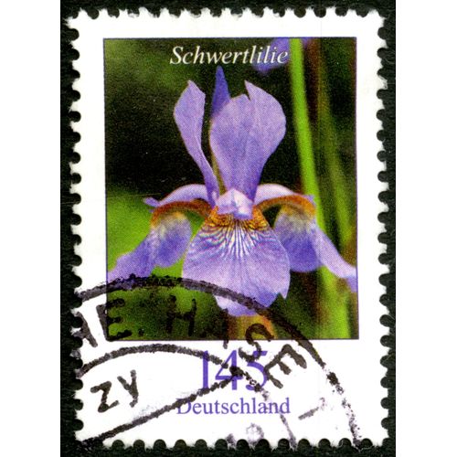 Timbre Oblitéré Deutschland, Schwertlilie, 145