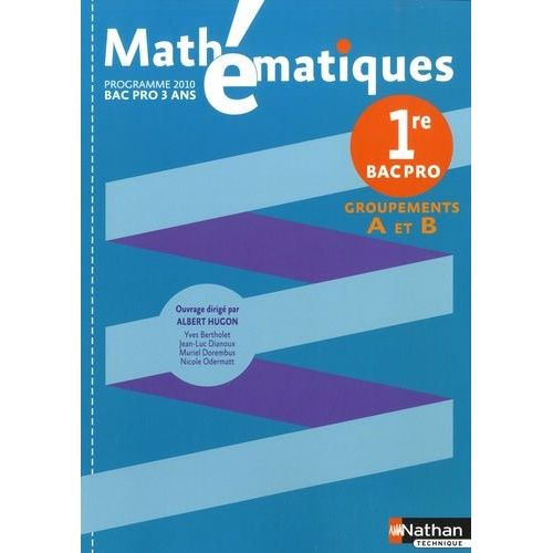 Mathématiques 1e Bac Pro - Groupement A-B, Programme 2010