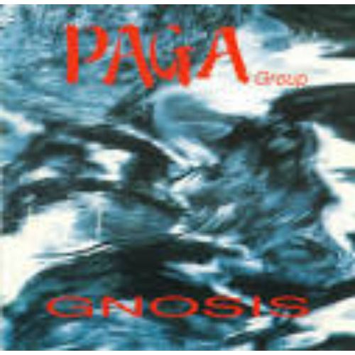 Paga Group Gnosis