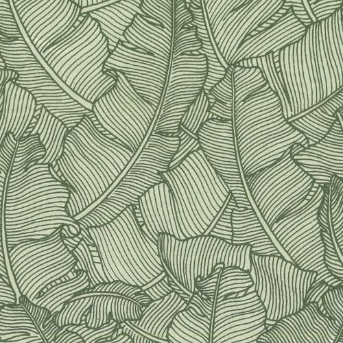 Papertree 50*70 100g Paradise Naturel/ Vert - Lot De 10 Feuilles