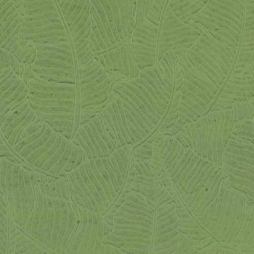 Papertree 50*70 100g Amazonia Tilleul - Lot De 10 Feuilles