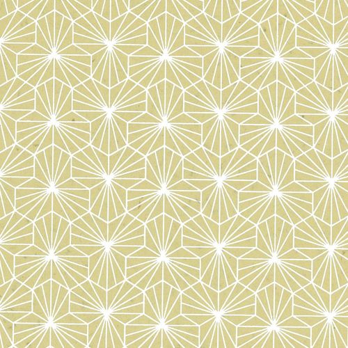 Papertree 50*70 100g Alienor Wasabi/ Blanc - Lot De 10 Feuilles