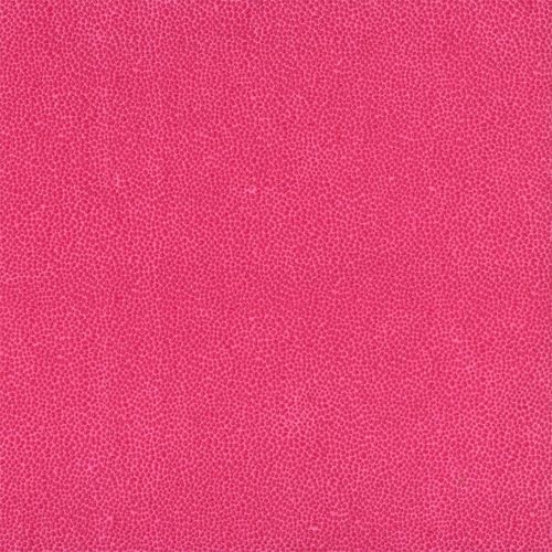 Papertree 56*76 125g Gum Rose - Lot De 10 Feuilles