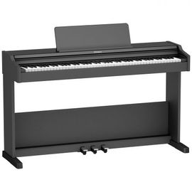 Roland - Rp107