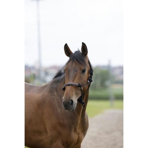 Licol Éthologique Norton "Corde/Synthétique" - Couleur : Noir, Taille : Cheval
